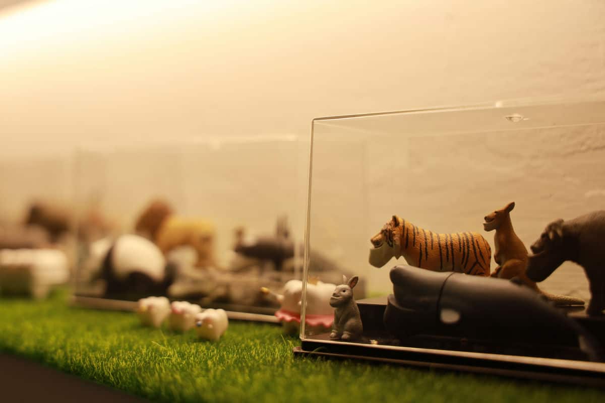 婚禮前找回自信笑容！台中爵佳美學的隱適美牙齒矯正體驗分享