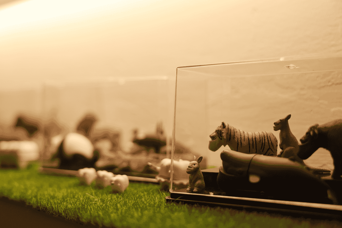 找回職場專業形象！台中爵佳美學的隱適美矯正，讓我煥然一新